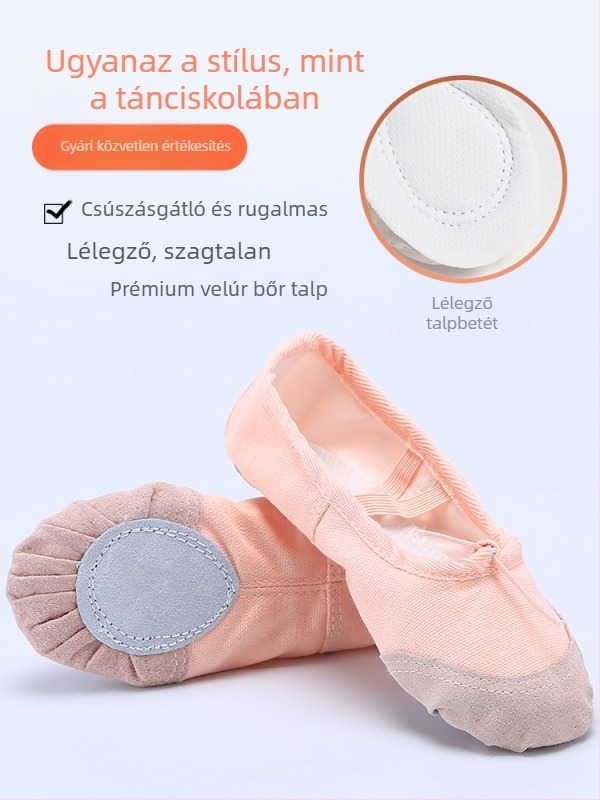 Felnőttek és gyerekek számára készült tánccipők, puha talpú edzés- és balettcipők, macska tappancs mintás férfi tánccipő, testformáló jóga cipő