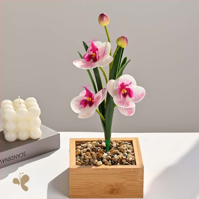 Phalaenopsis orchidea levelekkel, beltéri művirág – fényképezéshez és esküvői dekorációhoz