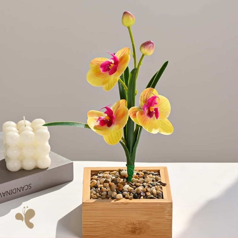 Phalaenopsis orchidea levelekkel, beltéri művirág – fényképezéshez és esküvői dekorációhoz