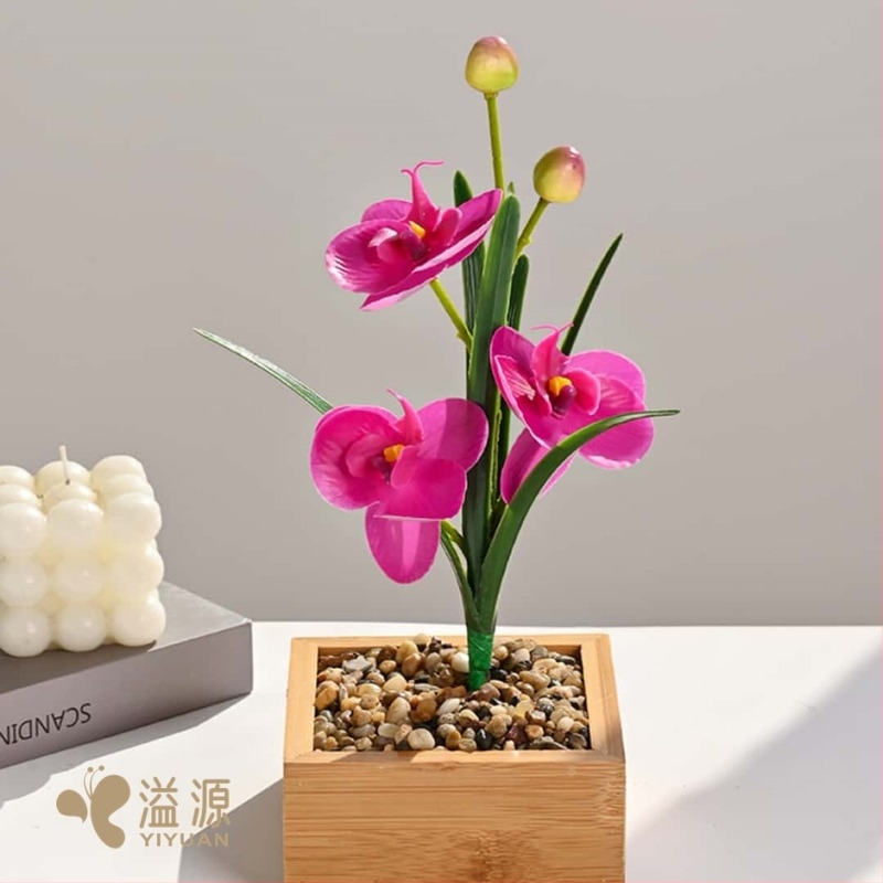 Phalaenopsis orchidea levelekkel, beltéri művirág – fényképezéshez és esküvői dekorációhoz