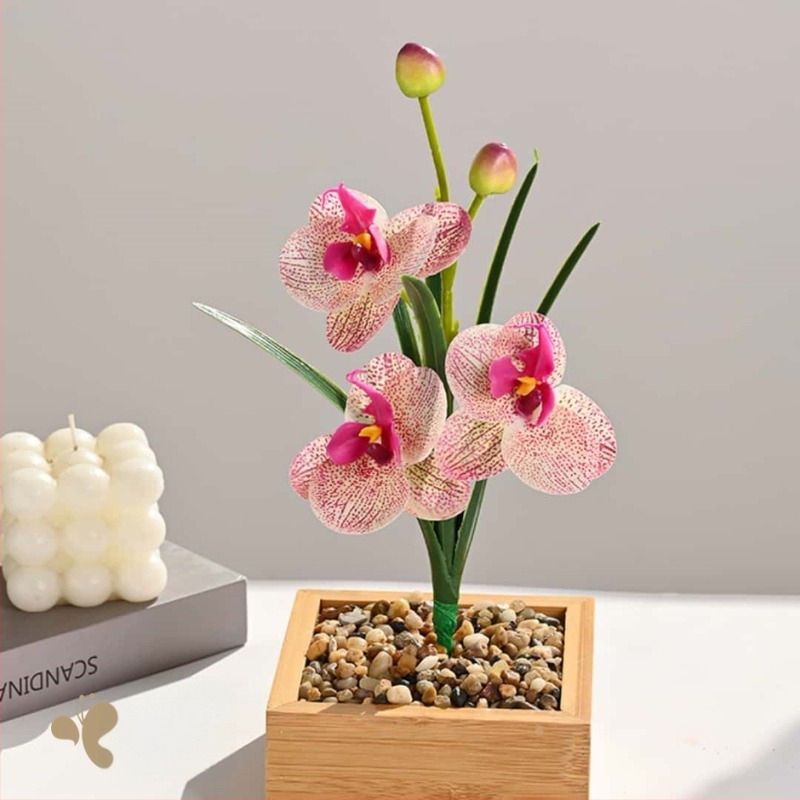 Phalaenopsis orchidea levelekkel, beltéri művirág – fényképezéshez és esküvői dekorációhoz
