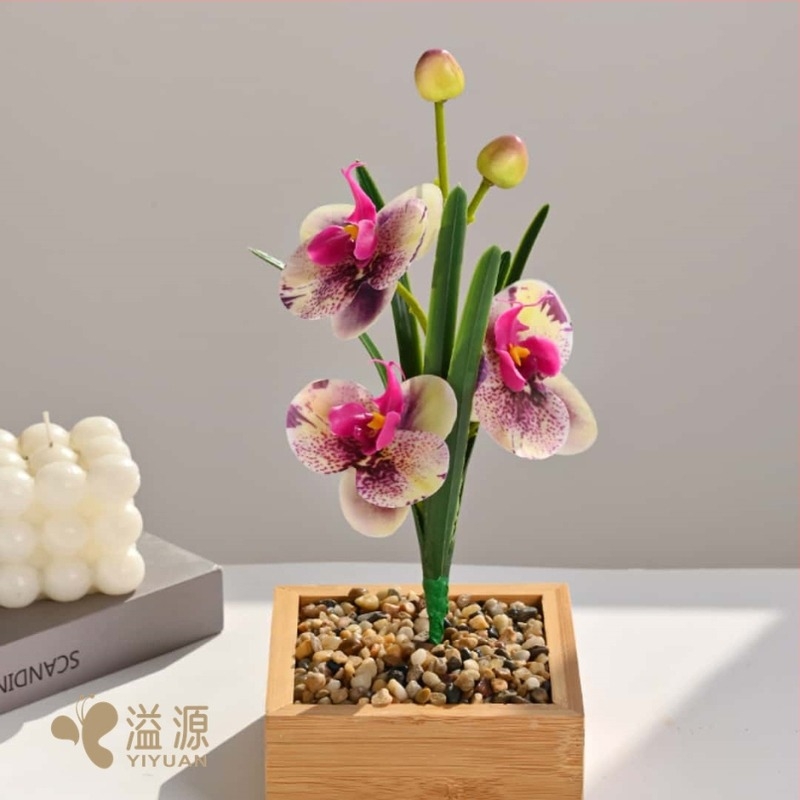 Phalaenopsis orchidea levelekkel, beltéri művirág – fényképezéshez és esküvői dekorációhoz