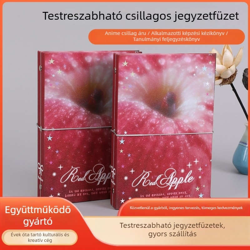 Csillagmotívumos kártyaalbum, átlátszó kártyatárolóval és Polaroid képeslapok tároló albummal