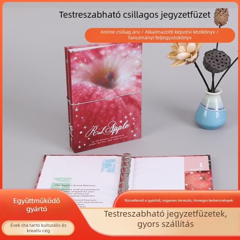 Csillagmotívumos kártyaalbum, átlátszó kártyatárolóval és Polaroid képeslapok tároló albummal
