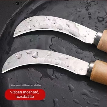 Rozsdamentes acél gyümölcskés hosszú fa markolattal, ívelt pengével, három az egyben: gyümölcs- és zöldség-hámozás és szeletelés