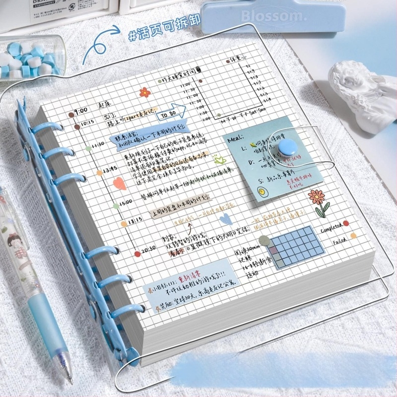 Ahgu Átlátszó PVC négyszögletes notesz kivehető oldalakkal és kockás papírral