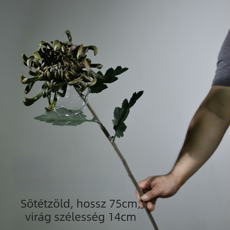 Nagy művirág krizantéma, élethű egy virág, otthoni dekorációhoz