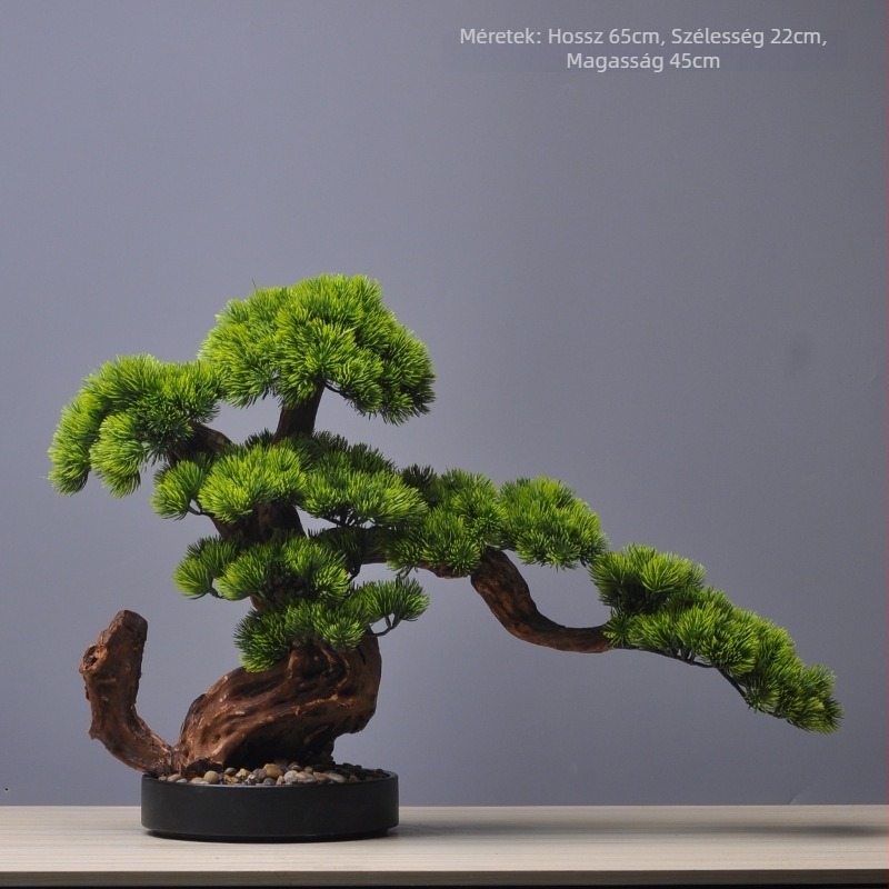 Zen ihletésű mű bonsai fenyő, iroda és nappali részére, bejárati dekoráció, megnyitó ajándék.