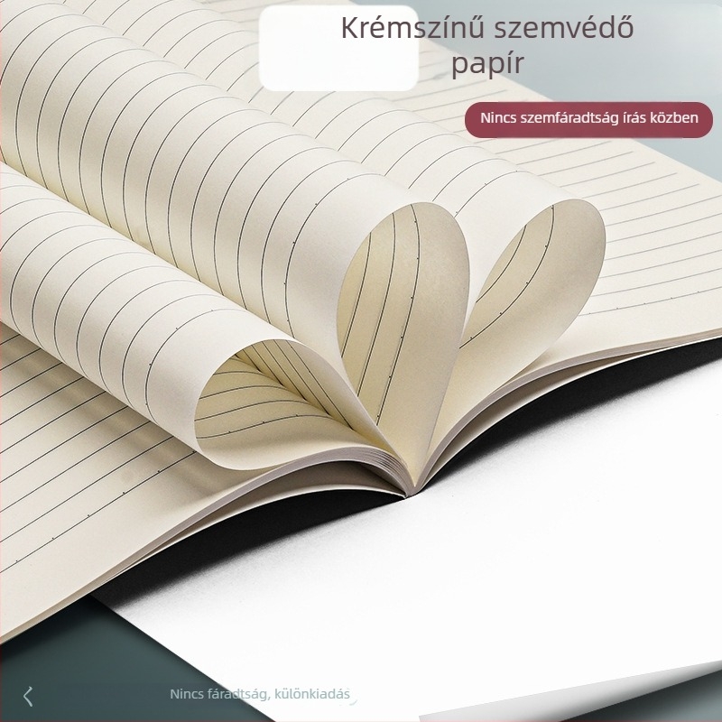 16K jegyzetfüzet, 2025-ös új modell, kiváló minőségű minimalistikus irodalmi stílus, A4 méret, nagy és extra vastag