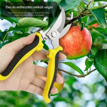 Rozsdamentes acél ágvágó olló gyümölcs szedésére, almák metszésére és citrusos kertekhez