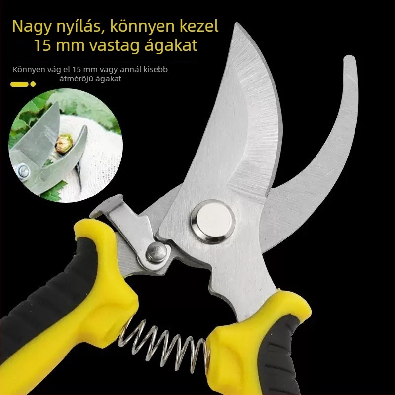 Rozsdamentes acél ágvágó olló gyümölcs szedésére, almák metszésére és citrusos kertekhez