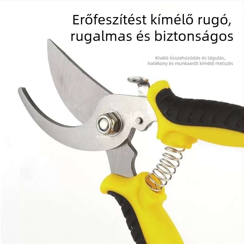 Rozsdamentes acél ágvágó olló gyümölcs szedésére, almák metszésére és citrusos kertekhez