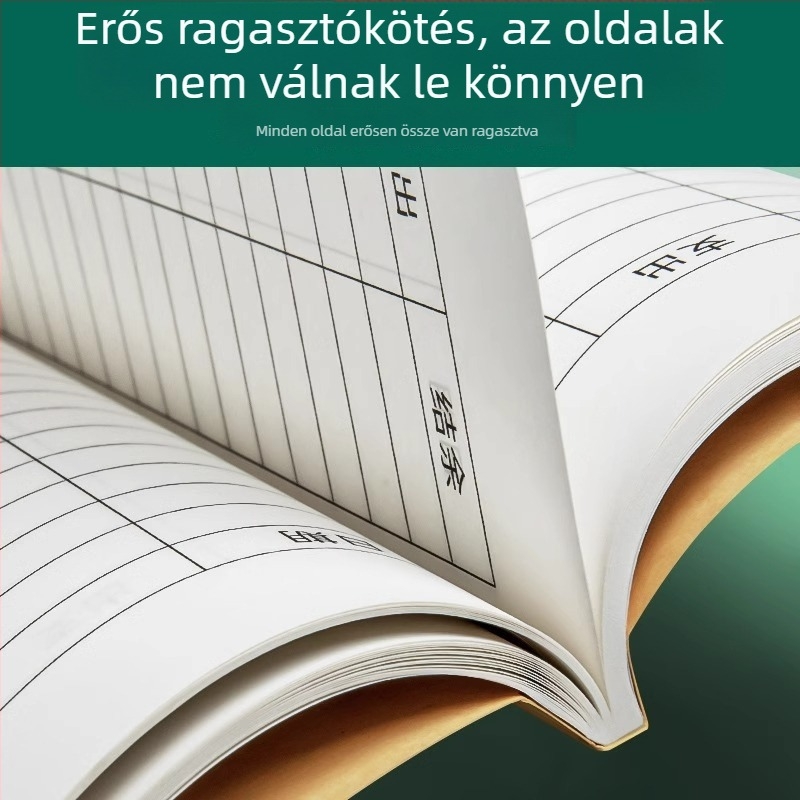 Napi könyvelési napló üzleti és otthoni használatra, bevétel-kiadás nyilvántartás szépségszalonhoz.