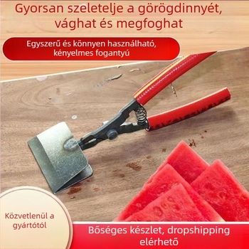 Dinnye szeletelő és szétválasztó eszköz – gyümölcsosztó