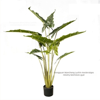 Nagy méretű padlón álló műanyag növény bonsai Alokázia, selyem levelekkel, 120-160 cm
