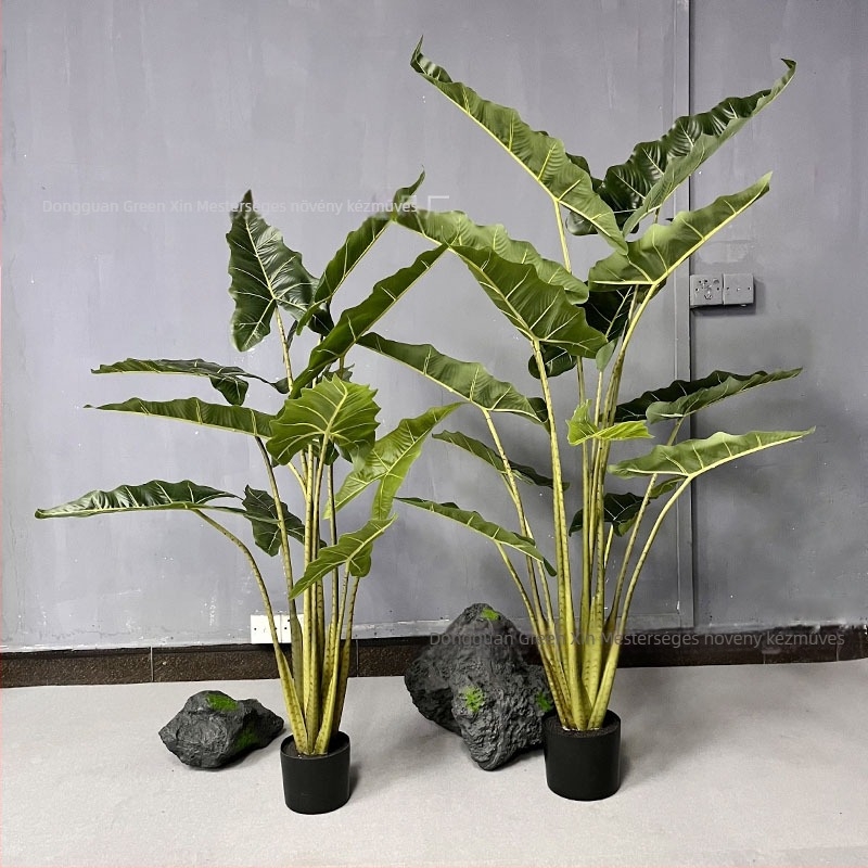 Nagy méretű padlón álló műanyag növény bonsai Alokázia, selyem levelekkel, 120-160 cm