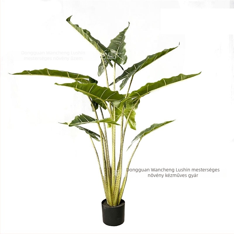 Nagy méretű padlón álló műanyag növény bonsai Alokázia, selyem levelekkel, 120-160 cm