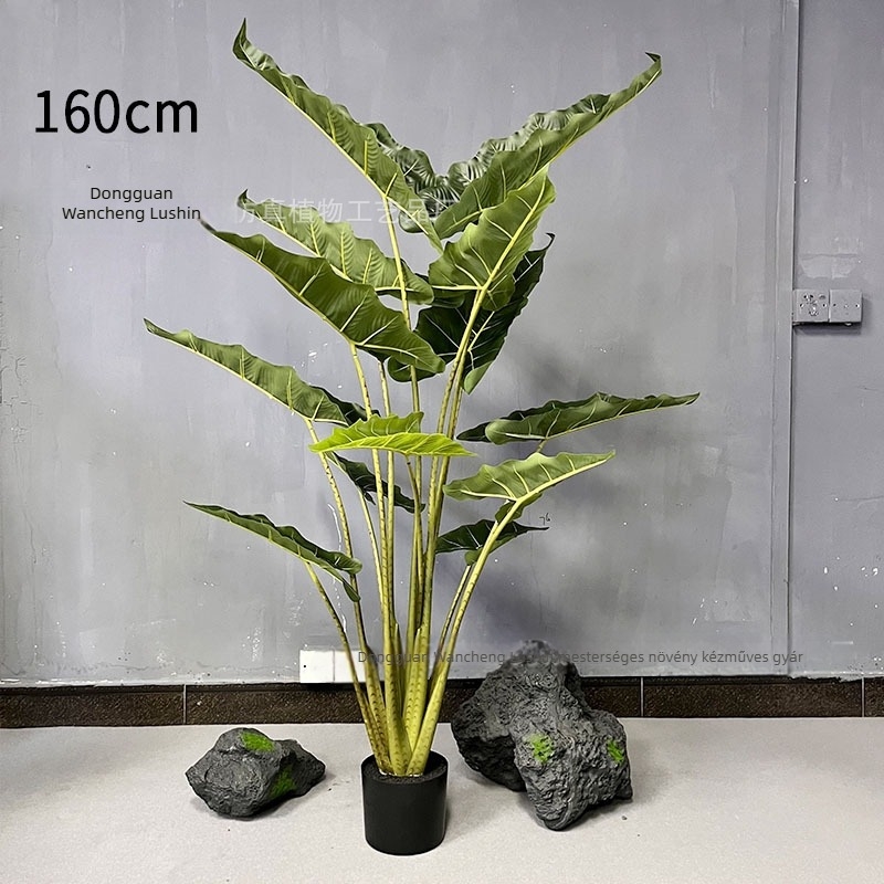 Nagy méretű padlón álló műanyag növény bonsai Alokázia, selyem levelekkel, 120-160 cm