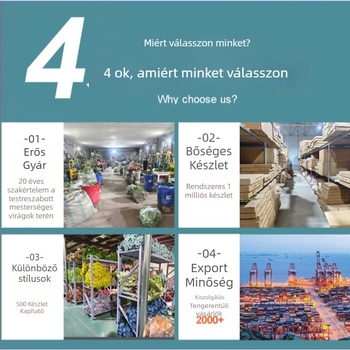 EVA műanyag Phalaenopsis orchidea levelek, sötétzöld, otthoni és szállodai dekorációhoz