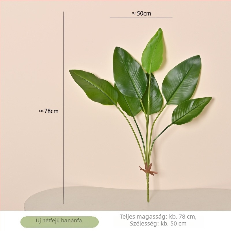 Dekoratív zöld növények tájépítéshez: Monstera levelek, Anthurium levelek és más zöld növények esküvői dekorációhoz