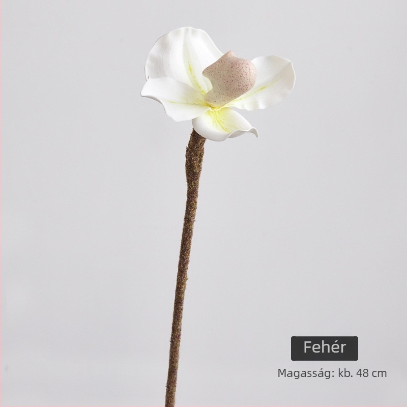 Phalaenopsis művirág, egy szálas beltéri cserépben, dekoratív esküvői és fotózási kellék