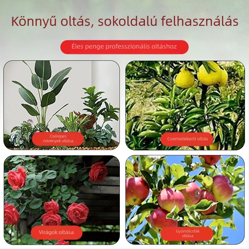 Oltókés – multifunkcionális kézi eszköz gyümölcsfákhoz és oltáshoz