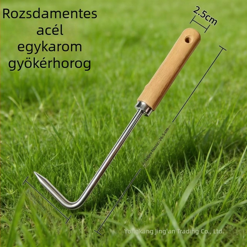 Rozsdamentes acélból készített kis kerti gereblye, kétfogú, a talaj fellazításához – kézi eszköz kültéri kertészkedéshez és cserepes növényekhez
