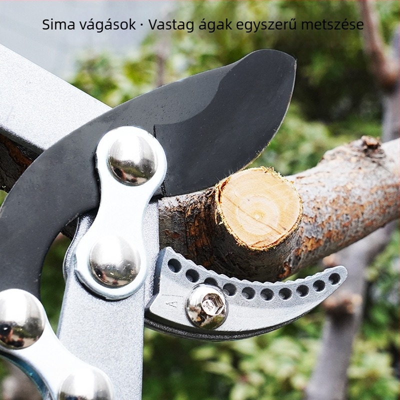 Teleszkópos vastag ágak metszőolló hosszú nyéllel – könnyű vágáshoz kertben, gyümölcsfákon és gyepen