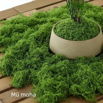 Mesterséges moha gyepszőnyeg dekorációkhoz