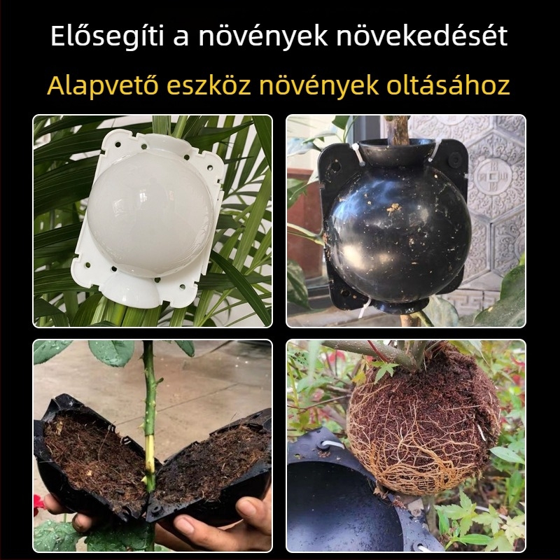 Növények magasnyomású szaporító doboza – csíráztatás, oltás és gyökerezés; Szaporító golyó kerthez és gyümölcsfákhoz