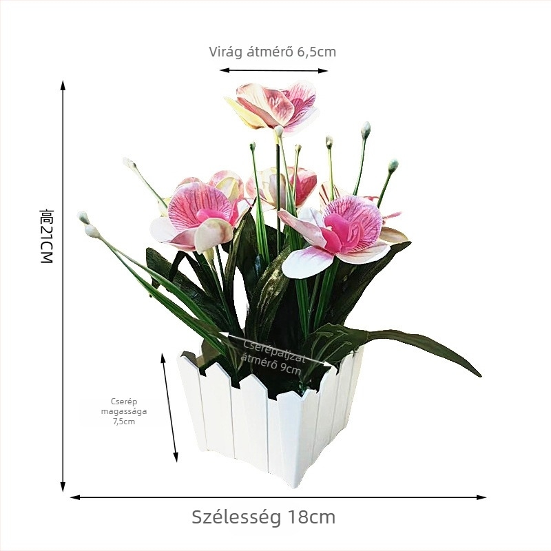 Hat Phalaenopsis orchidea kerítéses cserépben kültéri dekorációhoz, művirág bonsai ablakpárkányra és udvarra