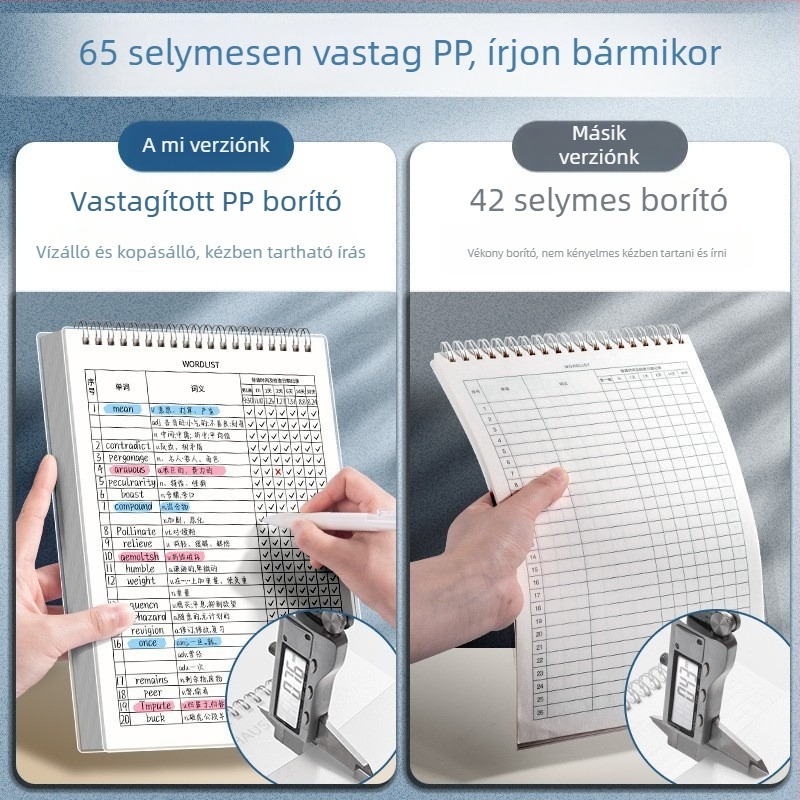 Four Seasons Ebbinghaus angol szavak memóriafüzet, B5-ös méret, középiskolásoknak