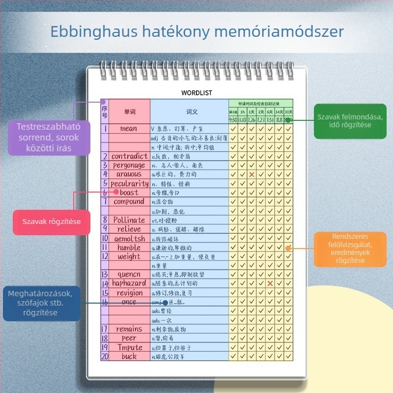 Four Seasons Ebbinghaus angol szavak memóriafüzet, B5-ös méret, középiskolásoknak