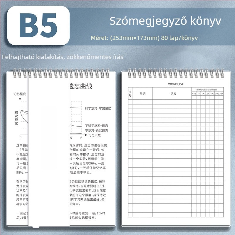 Four Seasons Ebbinghaus angol szavak memóriafüzet, B5-ös méret, középiskolásoknak