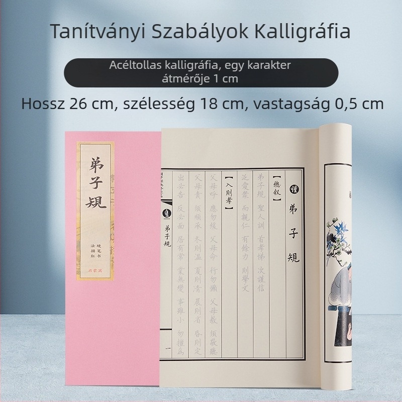 Shanglinfu Felnőtt Kaligráfia gyakorlófüzet kemény tollhoz – reguláris íráskép, Slim Gold stílus