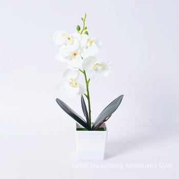 Mesterséges Phalaenopsis orchidea cserépben – fekete-fehér, otthon és iroda dekorációja