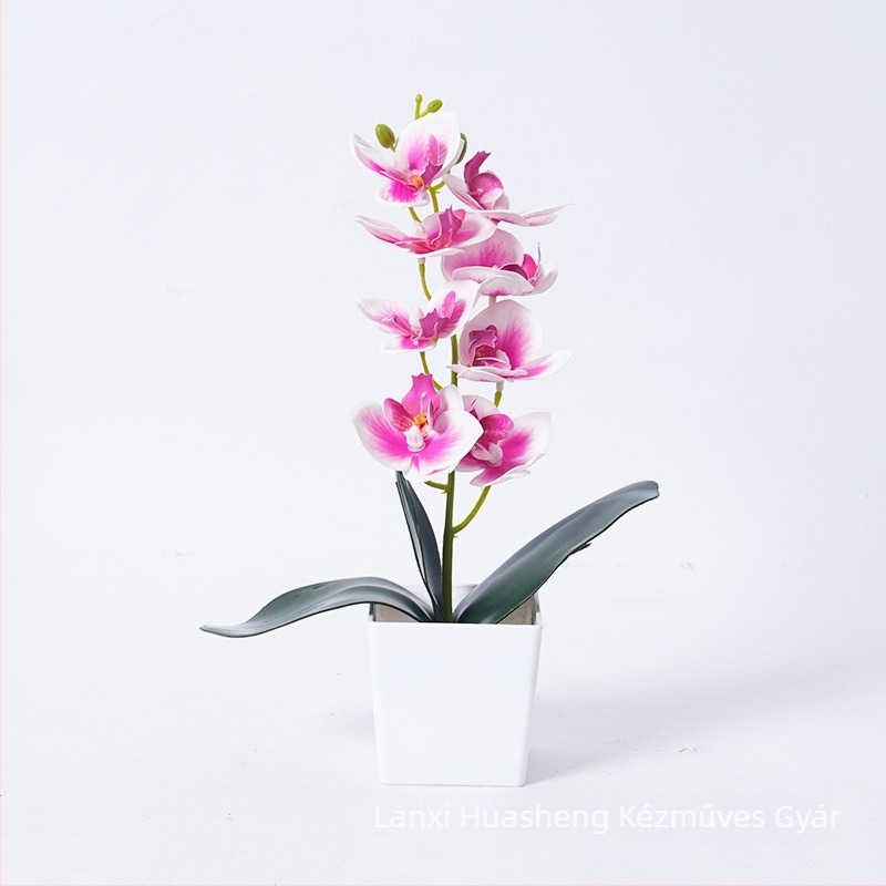 Mesterséges Phalaenopsis orchidea cserépben – fekete-fehér, otthon és iroda dekorációja