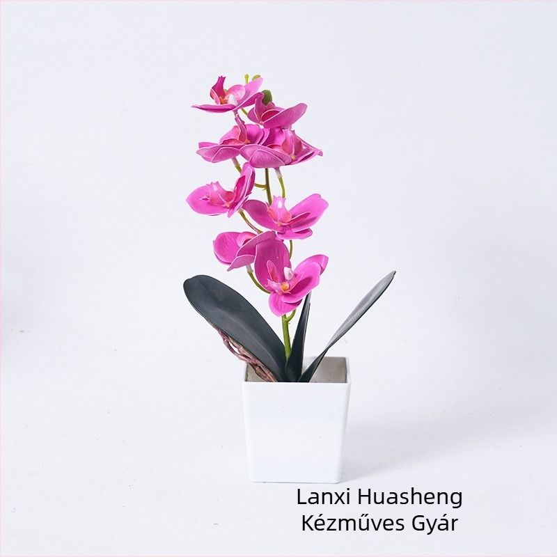 Mesterséges Phalaenopsis orchidea cserépben – fekete-fehér, otthon és iroda dekorációja