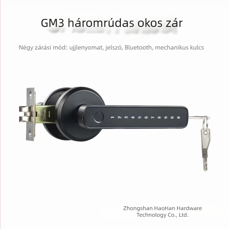 Belső ajtókhoz való ujjlenyomatos okoszár jelszóval és Bluetooth-hozzáféréssel, háromzáras mechanizmussal