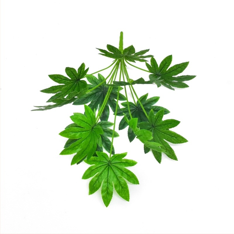 Művirágok és zöld növények otthoni díszítéshez és kertészeti tájépítéshez, bonsai és dekoratív kompozíciók