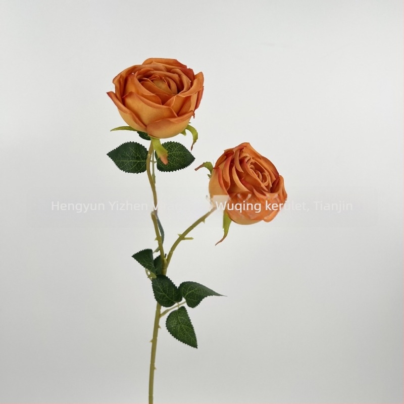 Mesterséges Imperial Concubine rózsa, selyemvirág, 65 cm magas, egy szárú, esküvői és fotózási dekorációhoz.