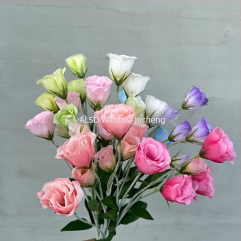 Mű velvet virágok, 6 fejű lisianthus, esküvői virágkötészeti kellékek, illatos indák, hotel előcsarnok dekoráció