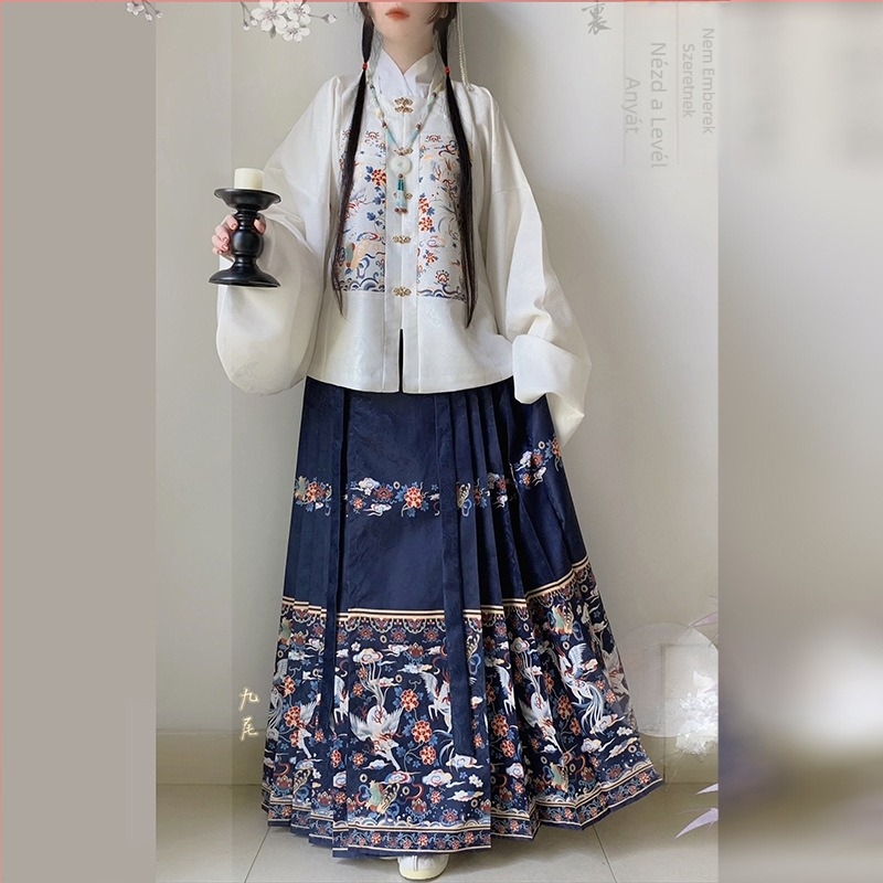 Ming-dinasztia Hanfu nőknek, jacquard ruha négyszögletes gallérral, patchwork, Pipa ujjak, lóarcú szoknya, hosszú ujjú, magas derék