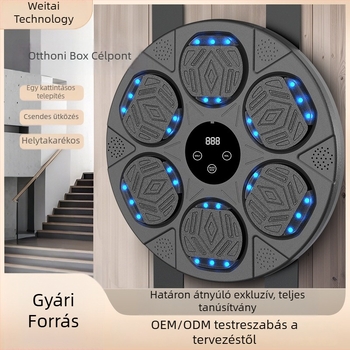 Intelligens Bluetooth-os boksz-edzés falra szerelhető cél, zenével, felnőtteknek