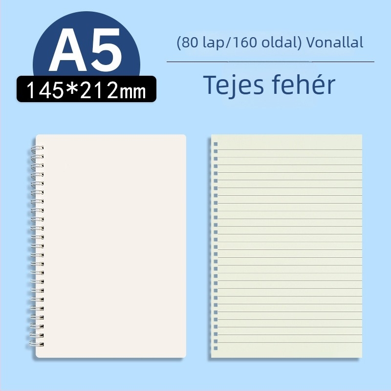 Morandi pasztell, oldalra nyíló átlátszó PP üzleti notesz, üres és vonalas oldalakkal, A5/B5 formátum, vizsgára felkészítéshez