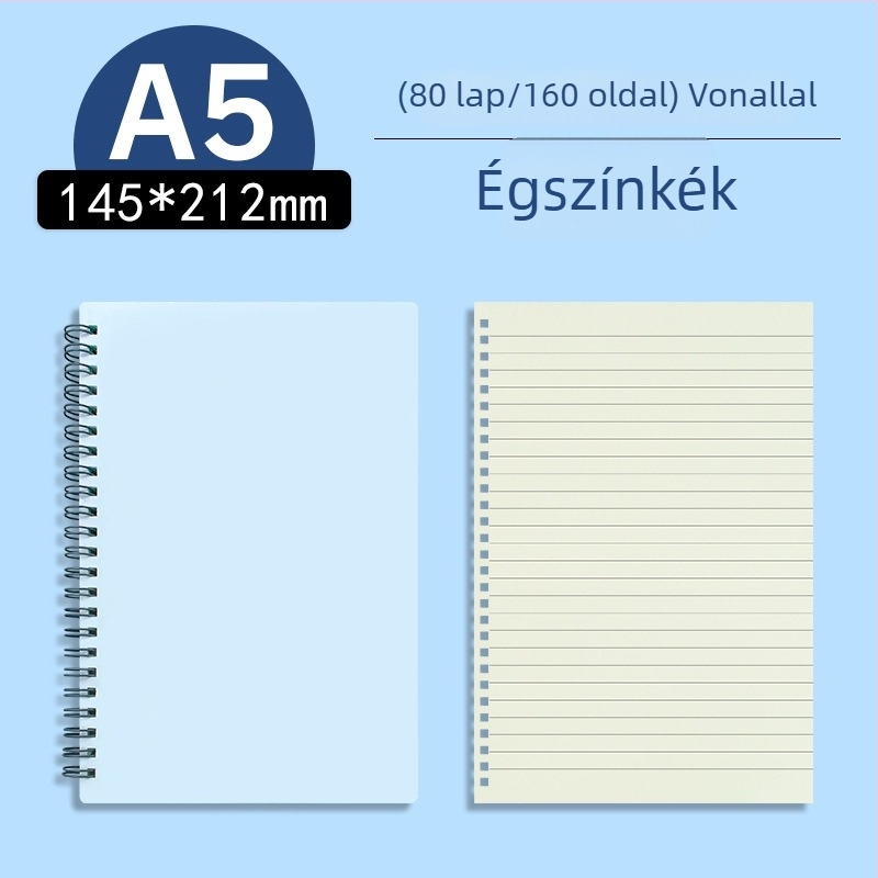 Morandi pasztell, oldalra nyíló átlátszó PP üzleti notesz, üres és vonalas oldalakkal, A5/B5 formátum, vizsgára felkészítéshez
