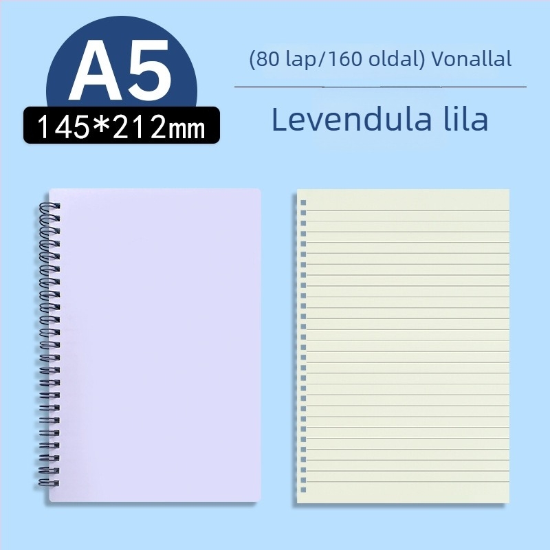 Morandi pasztell, oldalra nyíló átlátszó PP üzleti notesz, üres és vonalas oldalakkal, A5/B5 formátum, vizsgára felkészítéshez