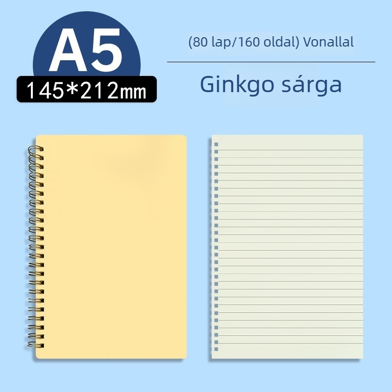 Morandi pasztell, oldalra nyíló átlátszó PP üzleti notesz, üres és vonalas oldalakkal, A5/B5 formátum, vizsgára felkészítéshez