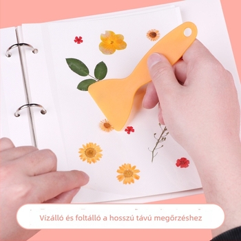 Növényi példánygyűjtemény: préselt levelek és szárított virágok, laminált, DIY öntapadós tárolóalbum