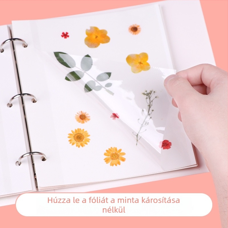 Növényi példánygyűjtemény: préselt levelek és szárított virágok, laminált, DIY öntapadós tárolóalbum